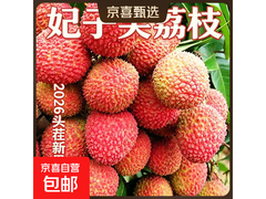 正宗海南妃子笑荔枝整箱预售，领券29.9元部分包邮