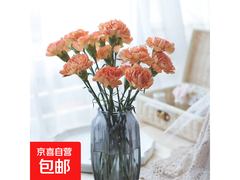 母亲节特惠！10枝基地直发康乃馨仅14.9元
