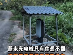 广东河源现赛博土地庙充电桩 车主自费建站引热议