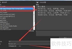 VEGAS渲染格式选择指南