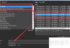 VEGAS渲染格式选择指南