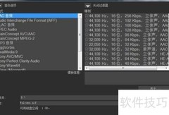 VEGAS渲染格式选择指南
