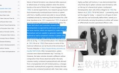 Neat Reader翻译EPUB英文技巧