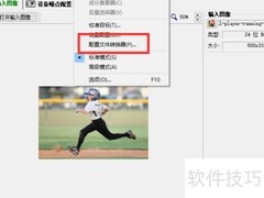 Neat Image配置文件转换开启方法