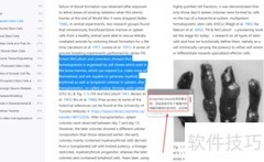 Neat Reader英文翻译方法