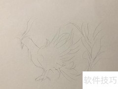 精卫鸟简笔画教程