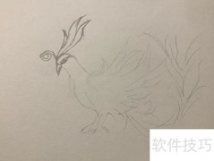 精卫鸟简笔画教程