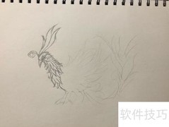 精卫鸟简笔画教程