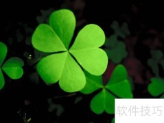 三叶草种植全攻略