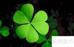 三叶草种子种植方法