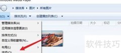 WMP如何在线更新音乐信息
