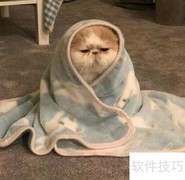 营养膏：宠物健康好帮手