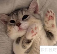 营养膏：宠物健康好帮手