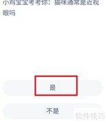 猫咪是近视眼吗？真相揭秘