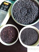 自制营养粉，美味又健康