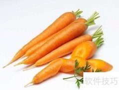 胡萝卜的营养：健康益处全解析