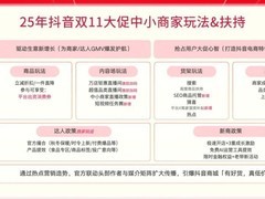 这个双11，中小商家拒绝再做“背景板”