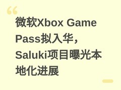 微软Xbox Game Pass拟入华，Saluki项目曝光本地化进展
