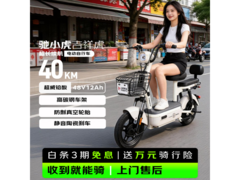 驰小虎吉祥虎-40KM白色电单车促销，仅1060元