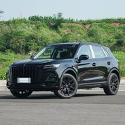 20万内中型SUV四强对决：纯电增程插混全都有