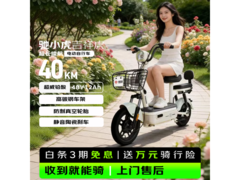 驰小虎吉祥虎电动车京东促销仅1060元
