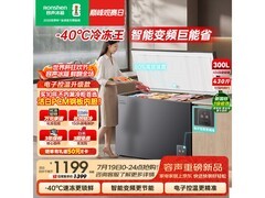 容声300L单温冰柜，优惠到手仅972元