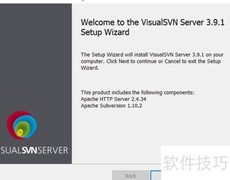 Visual SVN下载安装指南