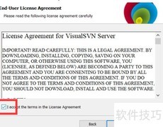 Visual SVN下载安装指南