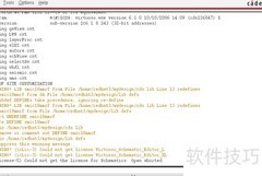 无法获取Vi许可证