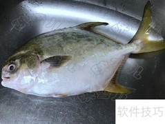 瑞士汁红烧金仓鱼