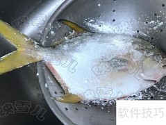 瑞士汁红烧金仓鱼
