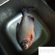 清蒸仓鱼：鲜嫩原味做法