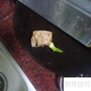 清蒸仓鱼：鲜嫩原味做法