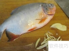 清蒸仓鱼的家常做法