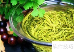 湿仓与干仓：茶叶招商关键