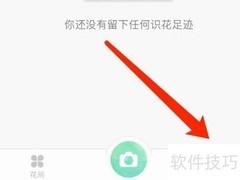 形色性别设置方法