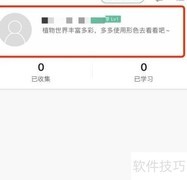 形色性别设置方法