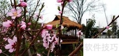 梅花洲游玩全攻略