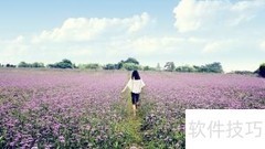 梅花洲游玩全攻略
