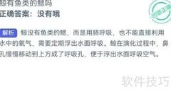 鲸有鳃吗？1.20答案揭晓
