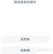 鲸有鳃吗？真相揭秘