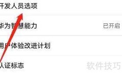 如何开启等待调试器功能