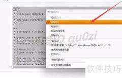 解决WordPress定时发布失败