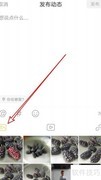 狐友发布新动态指南