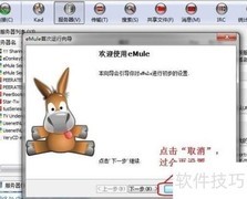 电骡eMule新手快速设置指南