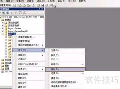 SQL人工备份操作指南