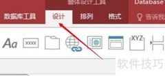 Access窗体设为Windows样式