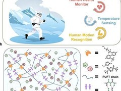 中科院研制出零下40℃仍强韧导电的形状记忆离子皮肤