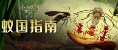 小小蚁国每日必做指南