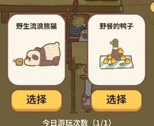 动物餐厅：前院玩法全解析